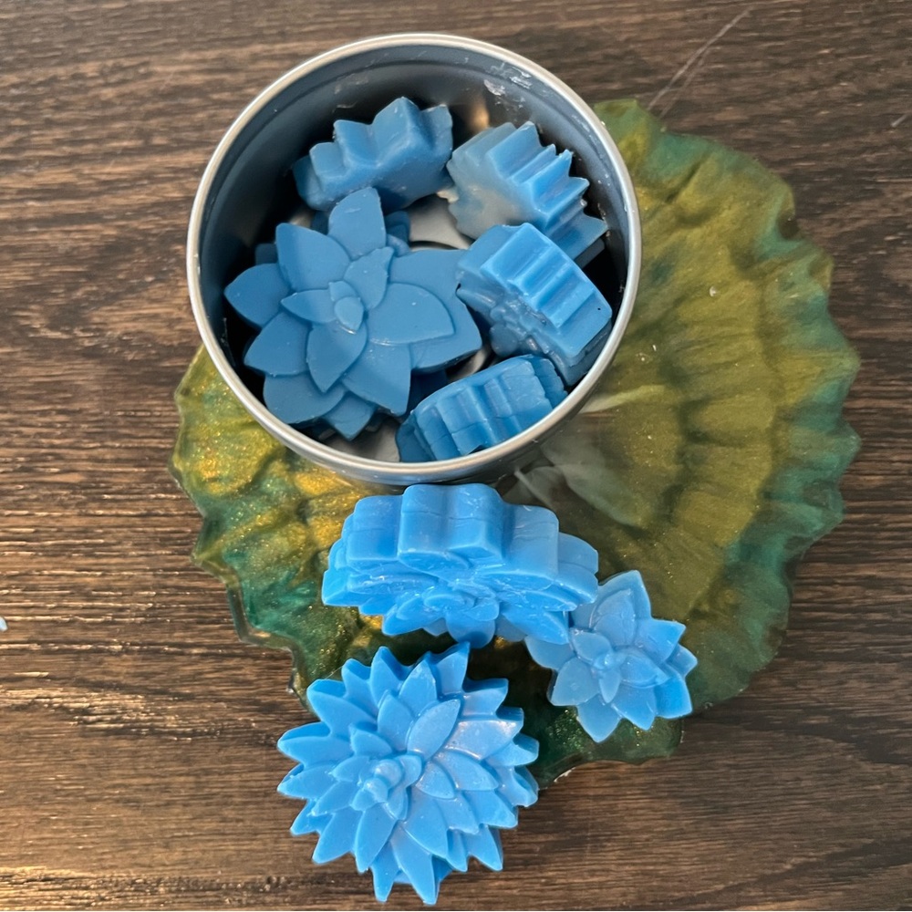 Line-Dried Wax Melts - Picture 3 of 6